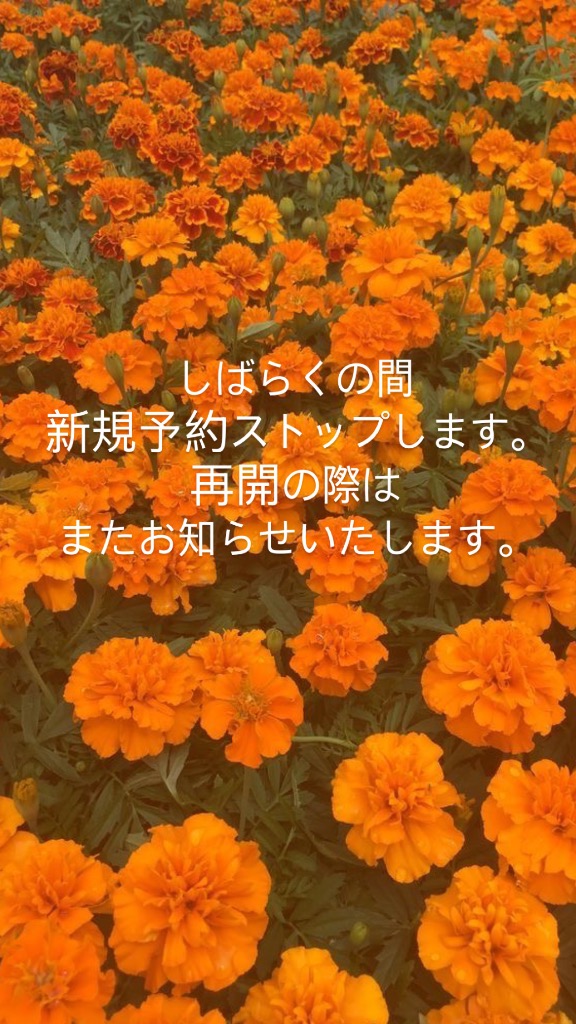 お知らせ🌼